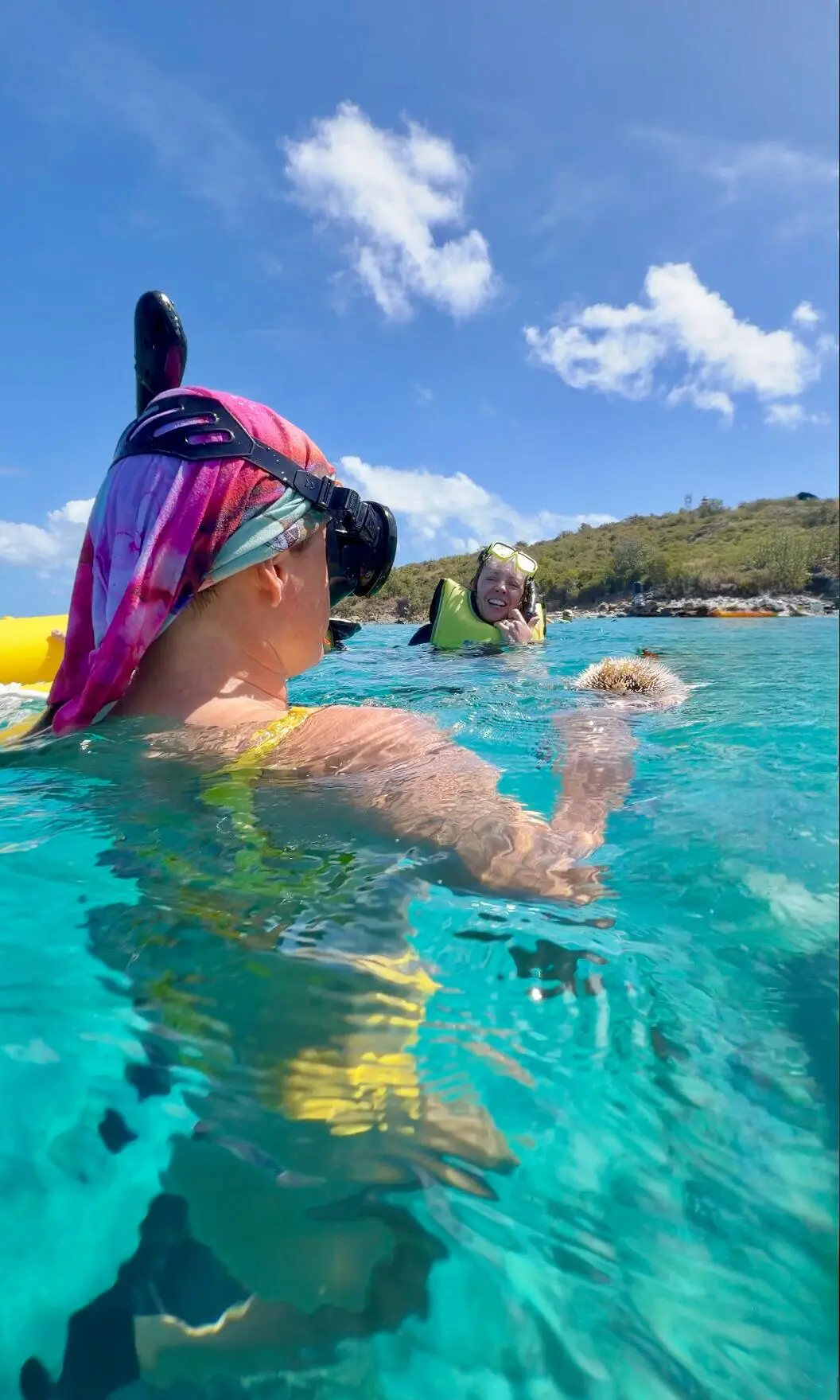 Half-Day Luxury Catamaran Sail & Turtle Snorkel gallery image 1